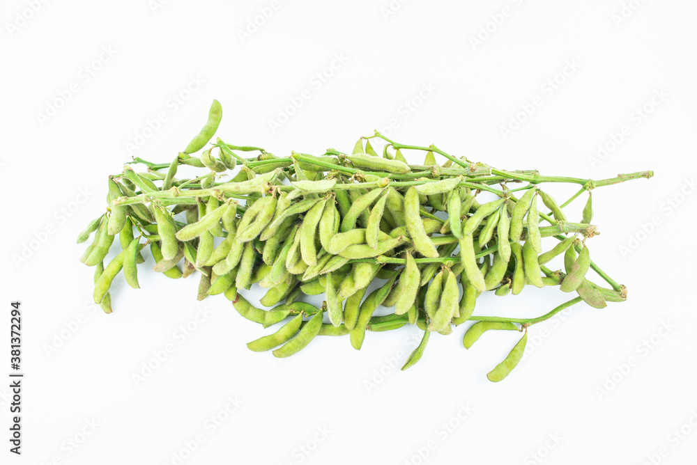 Fresh soybeans on white background