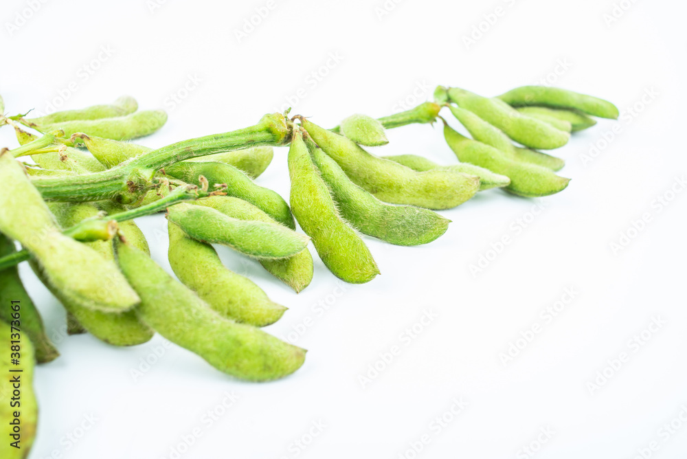 Fresh soybeans on white background