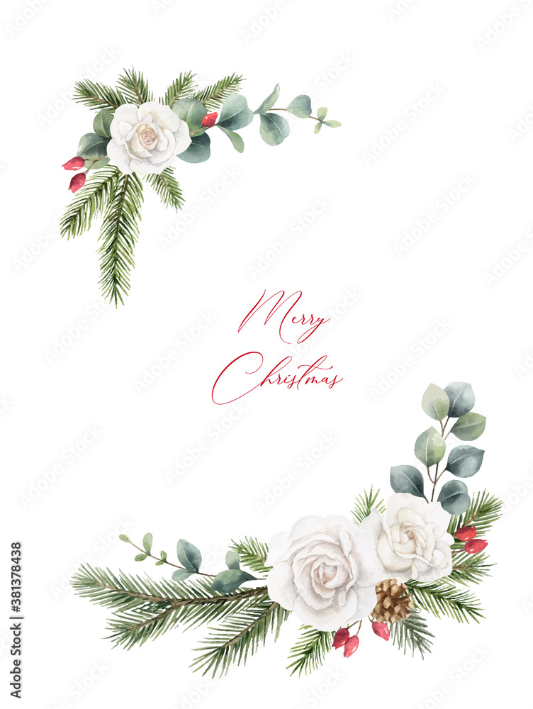 Watercolor vector Christmas wreath with fir branches, rose and eucalyptus.