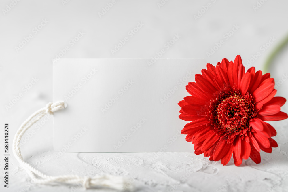 Empty greeting card with red gerbera daisy on white stone background