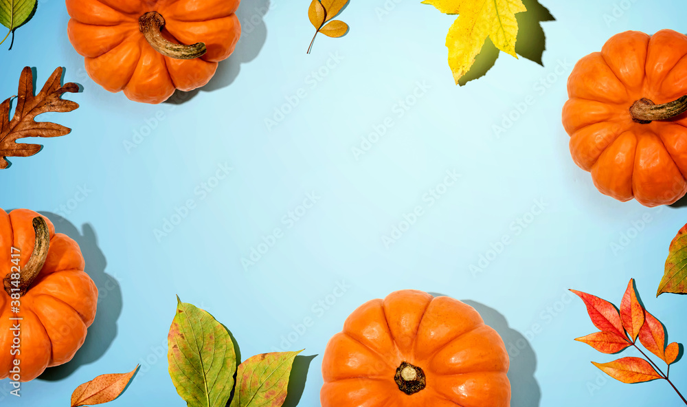 Autumn pumpkins with colorful leaves overhead view - flat lay