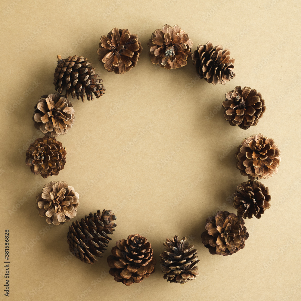 Pinecone on brown background with circle composition. flatlay