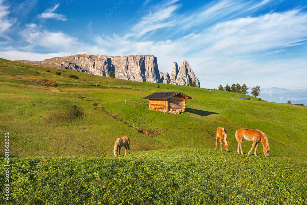 Famous Alpe di Siusi - Seiser Alm with Sassolungo - Langkofel mountain group in background at sunset