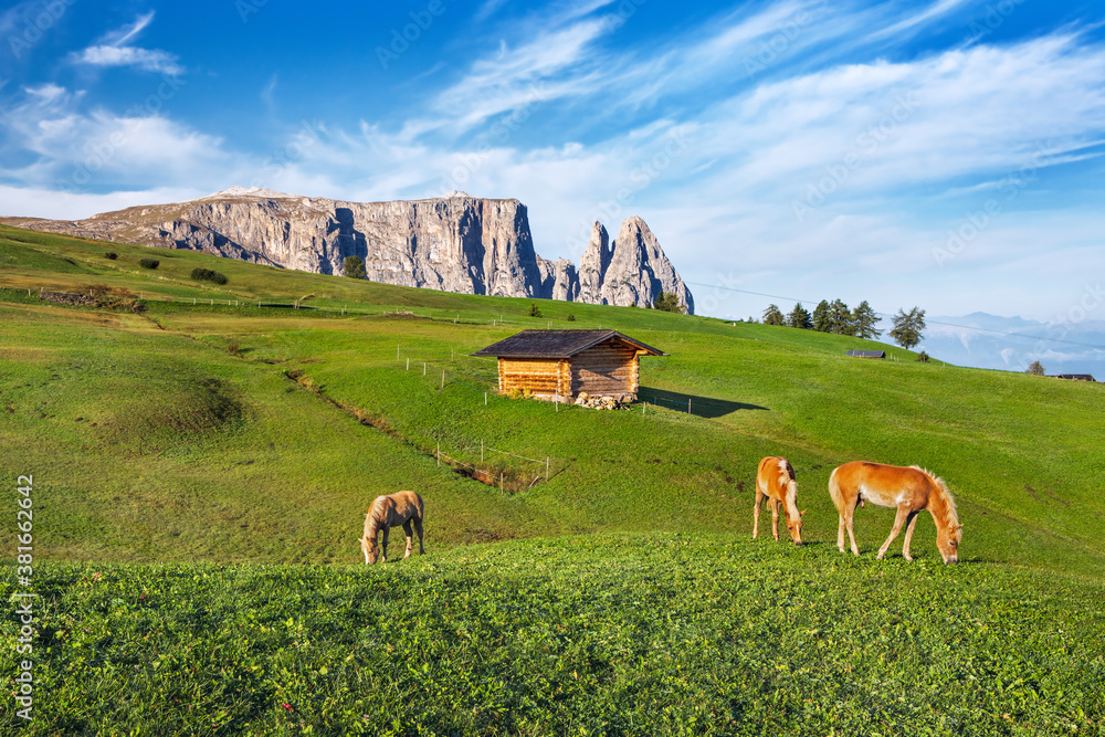 Famous Alpe di Siusi - Seiser Alm with Sassolungo - Langkofel mountain group in background at sunset