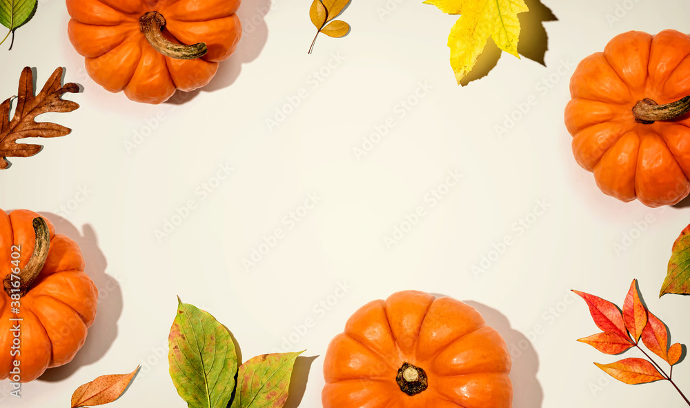 Autumn pumpkins with colorful leaves overhead view - flat lay