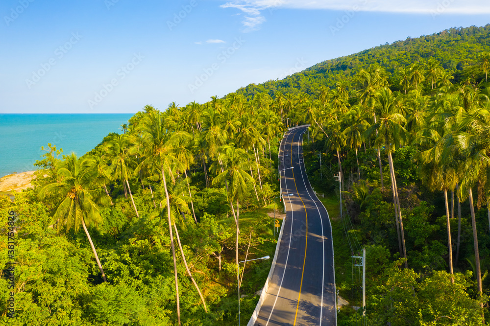 High angle view of  road pass through coconut tree forest and beautiful coastline in Khanom, Nakhon 