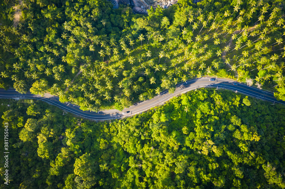 High angle view of  road pass through coconut tree forest in Khanom, Nakhon si thammarat, Thailand.