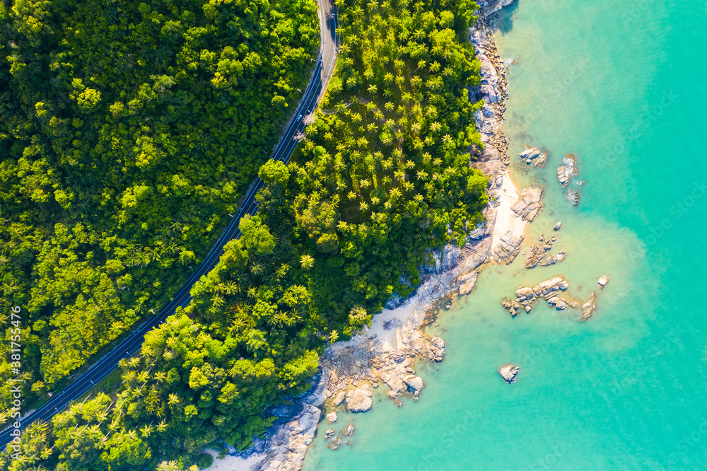 High angle view of  road pass through coconut tree forest and beautiful coastline in Khanom, Nakhon 