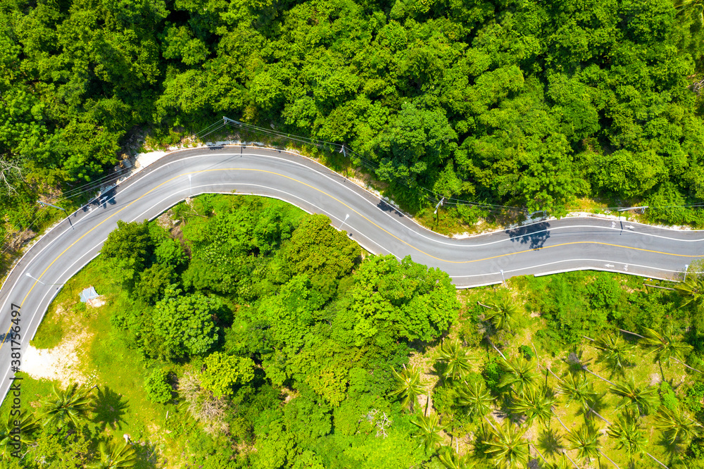 High angle view of  road pass through coconut tree forest in Khanom, Nakhon si thammarat, Thailand.