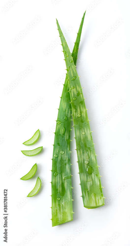 Aloe Vera on a white background