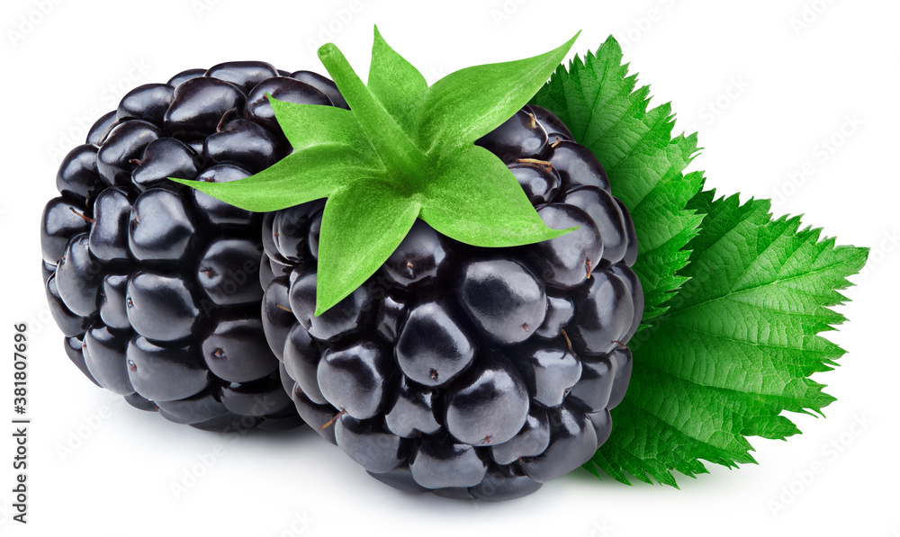 Blackberry berry with leaves isolated