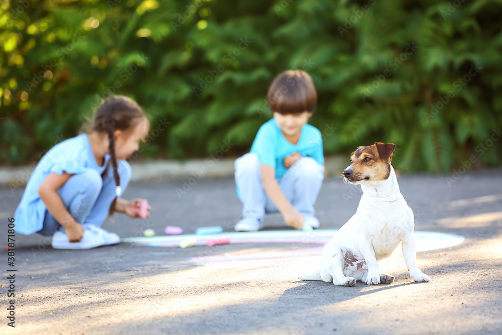 Little children drawing with chalk and cute dog sitting on asphalt road