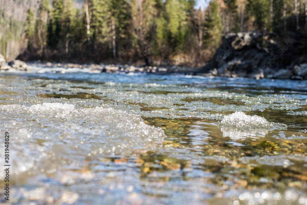 nature trips at different times of the year