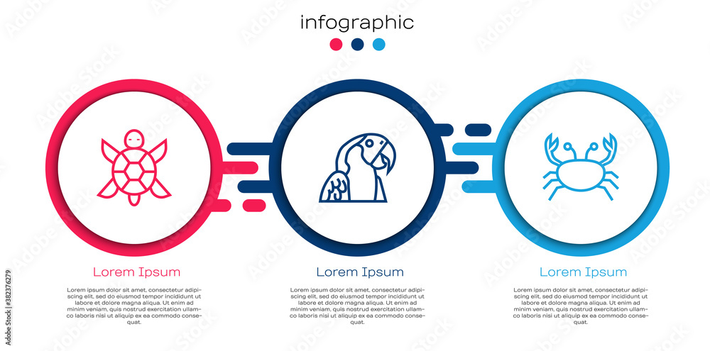 设定线乌龟、鹦鹉和螃蟹。商业信息图模板。矢量。