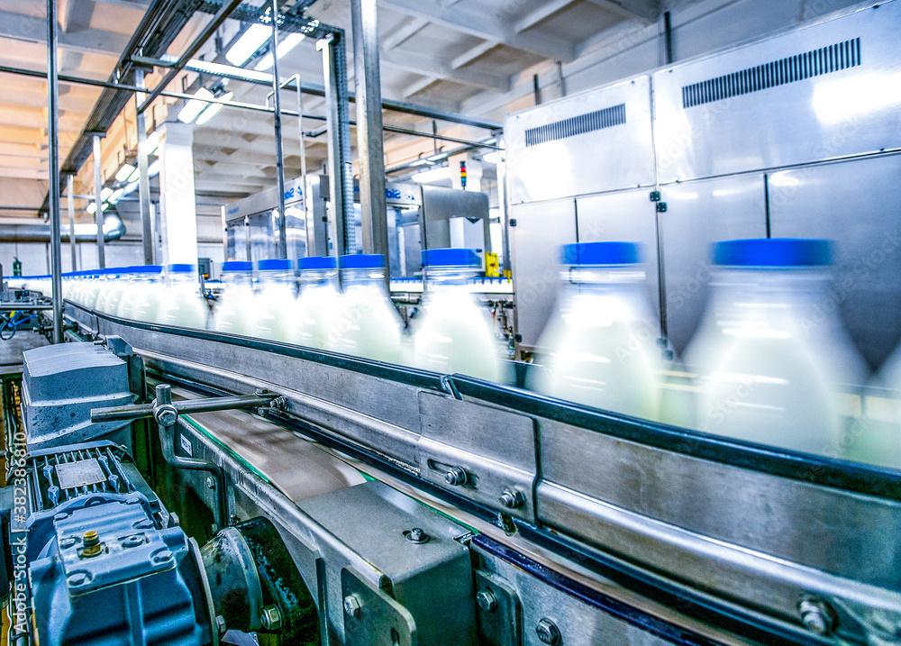 Milk production on line at the factory