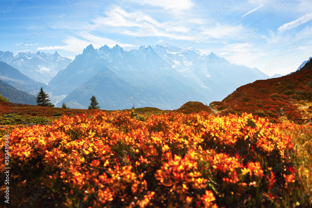 Amazing view on Monte Bianco mountains range with with Monblan on background. Vallon de Berard Natur