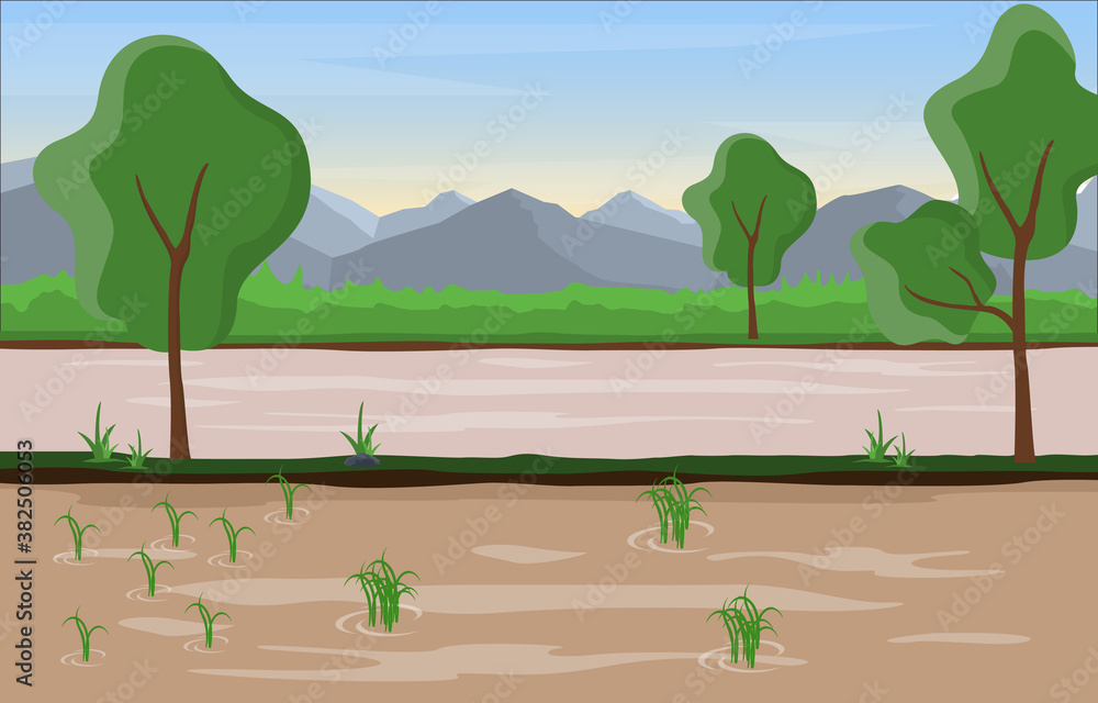 Asian Rice Field Paddy Plantation Agriculture Landscape Illustration