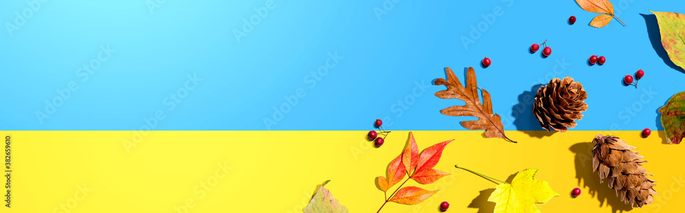 Colorful autumn leaves with pinecones overhead view - flat lay