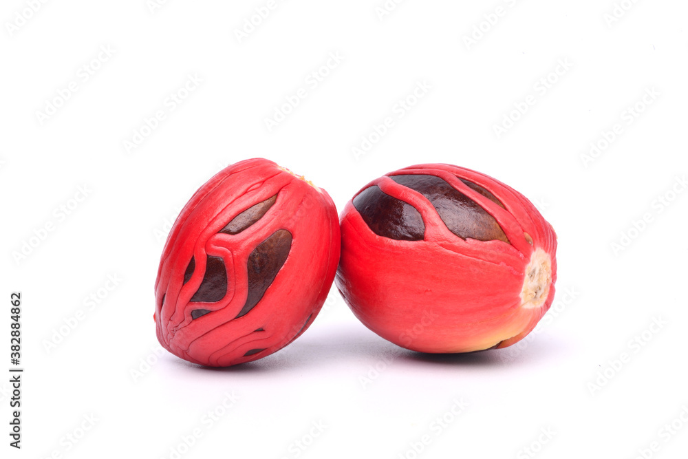 Close-up fresh nutmeg seeds with mace isolated on white background