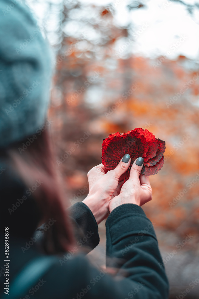 Woman holding colorful Autumn leaves as playing cards. Shallow depth of field, colorful orange trees