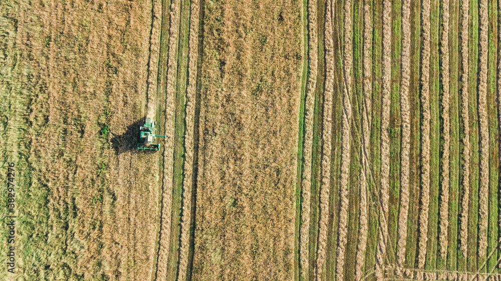 Harvester machine working in field aerial view from above, combine harvester agriculture machine har