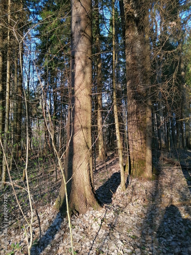 Vitebsk, places of battles of 1941 - 1943.