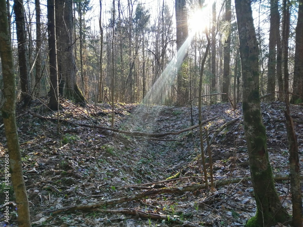 Vitebsk, places of battles of 1941 - 1943.