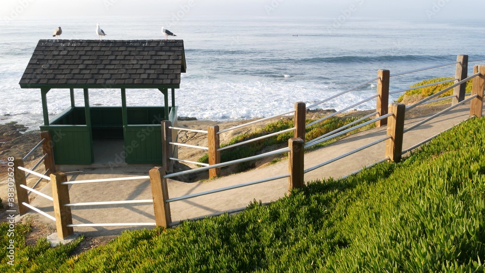 Sea gull birds on alcove roof. Seagulls on wooden arbor, pacific ocean splashing waves. Gazebo hut a