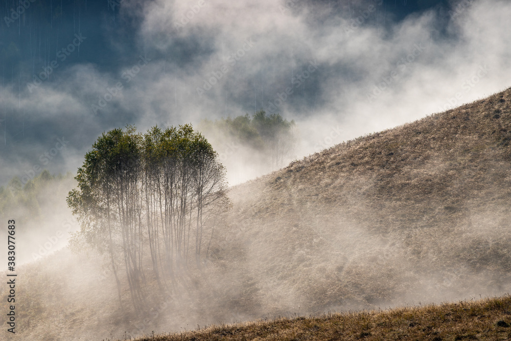 beautiful early autumn nature background foggy trees in the mountains