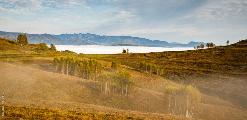 beautiful early autumn nature background foggy trees in the mountains