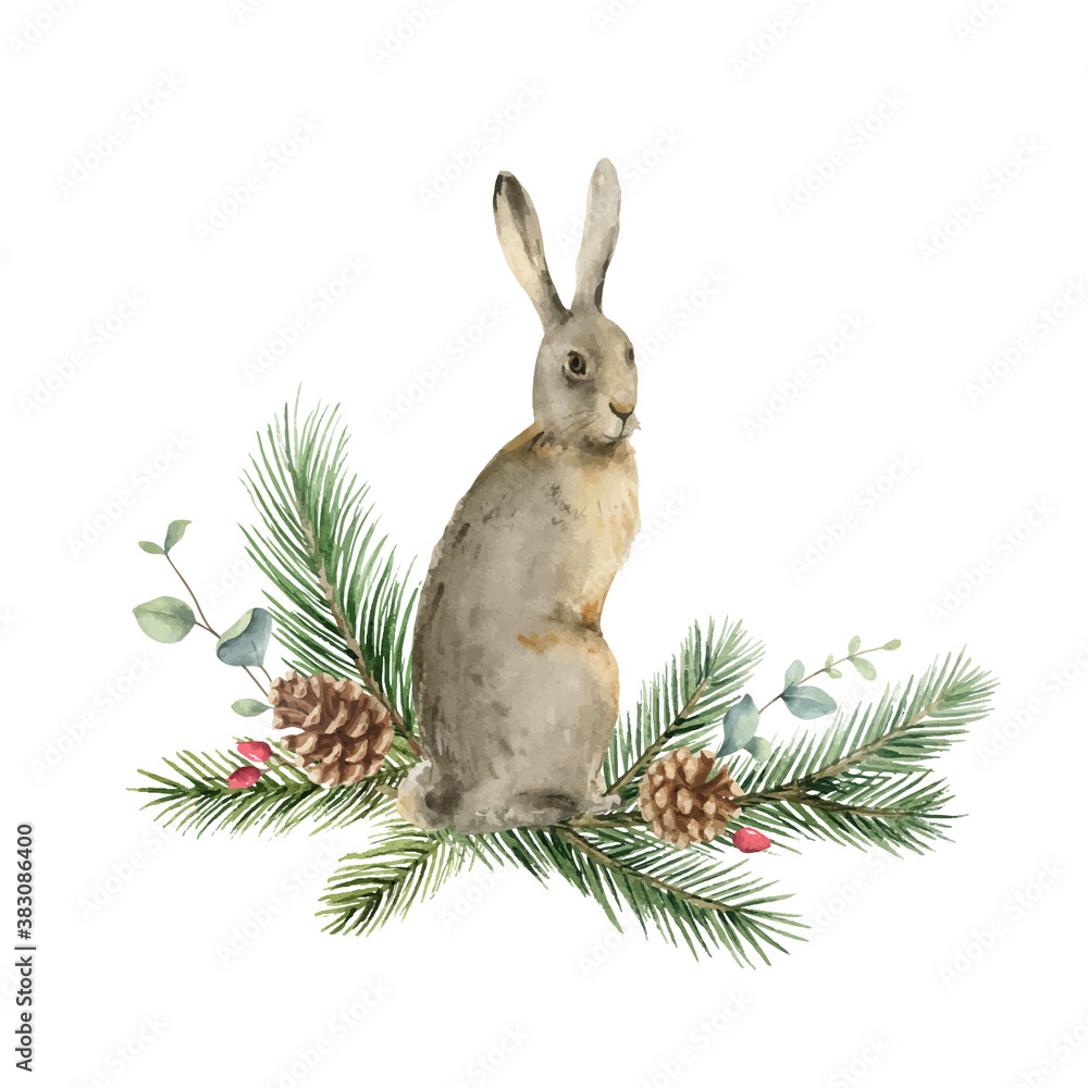 Watercolor vector Christmas card with a hare and fir branches.