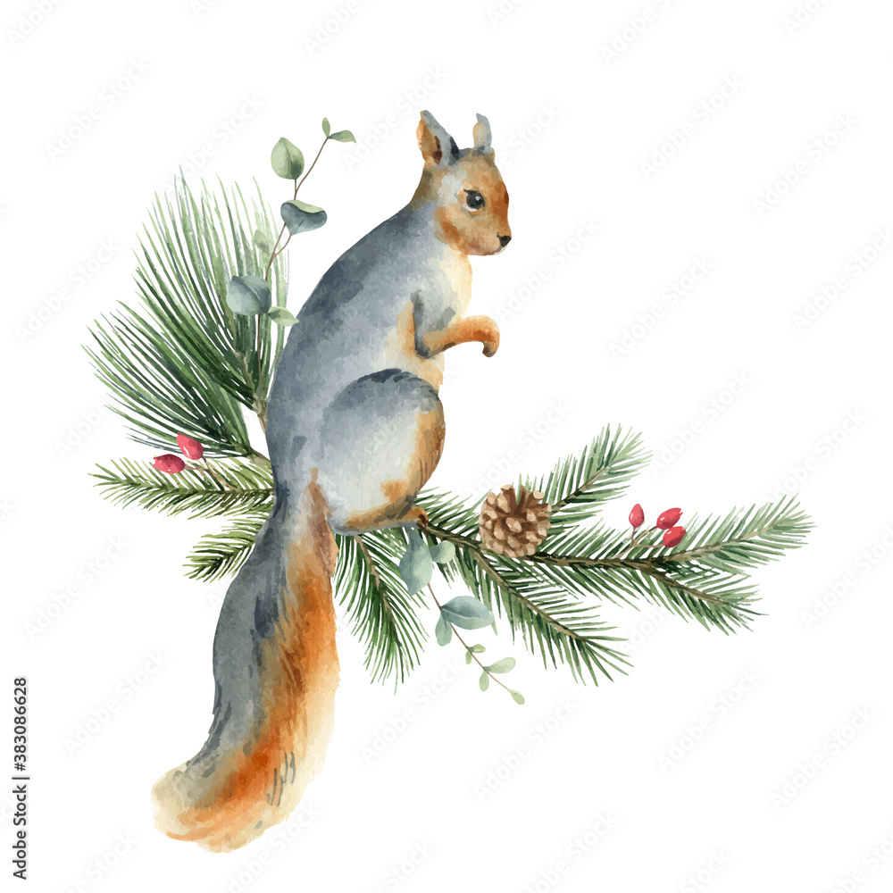 Watercolor vector Christmas card with a squirrel and fir branches.