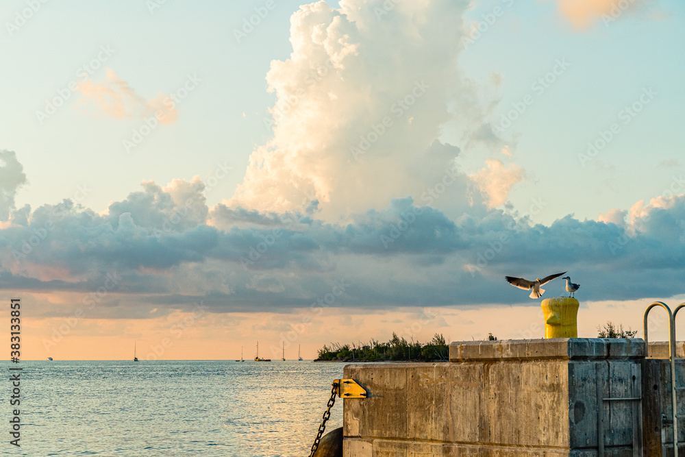 Sunset, view of Sunset y Island from Mallory Square, Key West, Florida, US