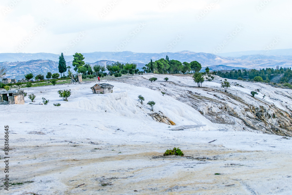 White travertine hills with green trees