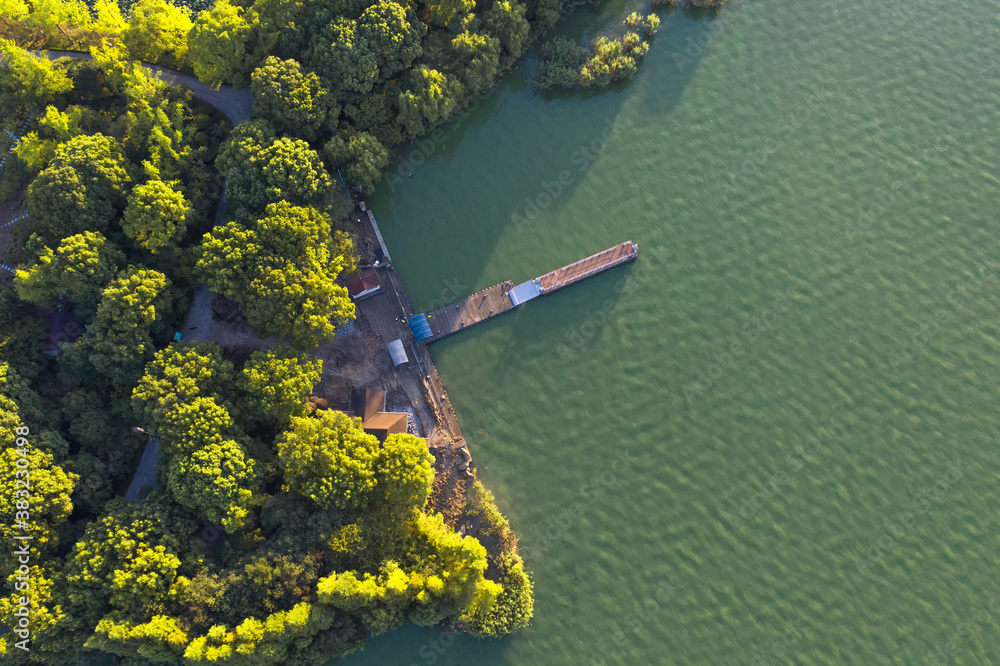 Trees and wooden bridge by the lake.