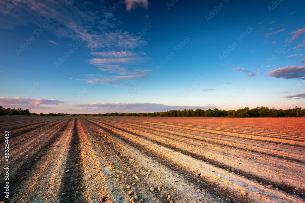 Beautiful landscape of a plowed field at sunset. Poland