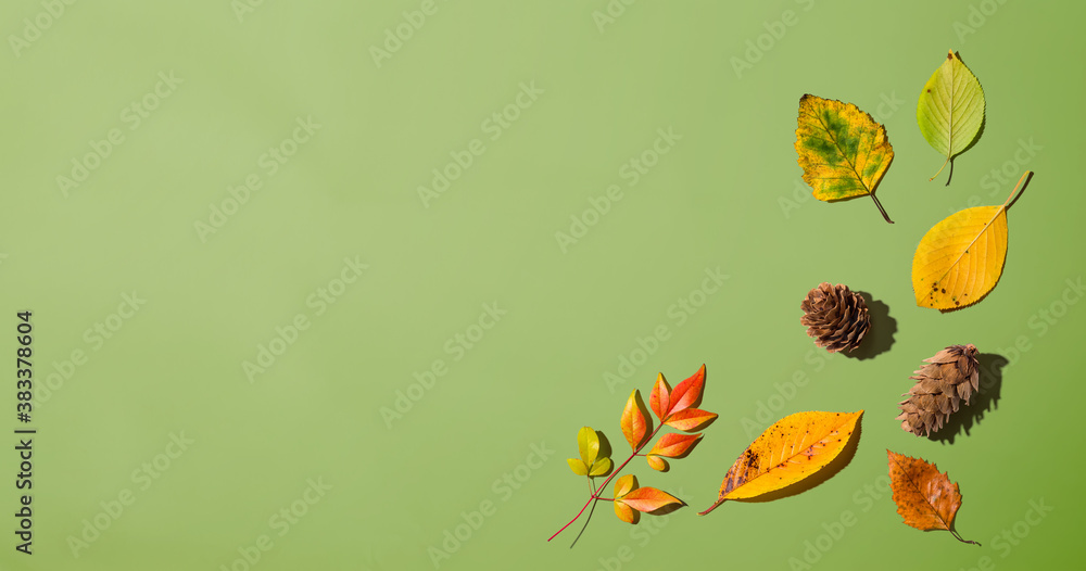 Autumn leaves from above - overhead view flat lay