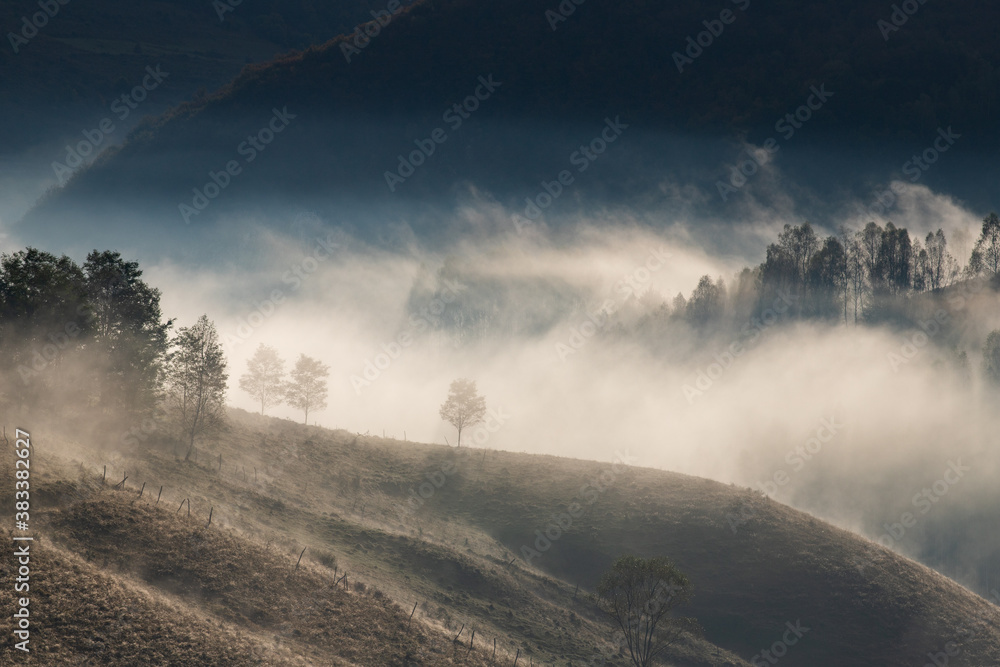 beautiful early autumn nature background foggy trees in the mountains