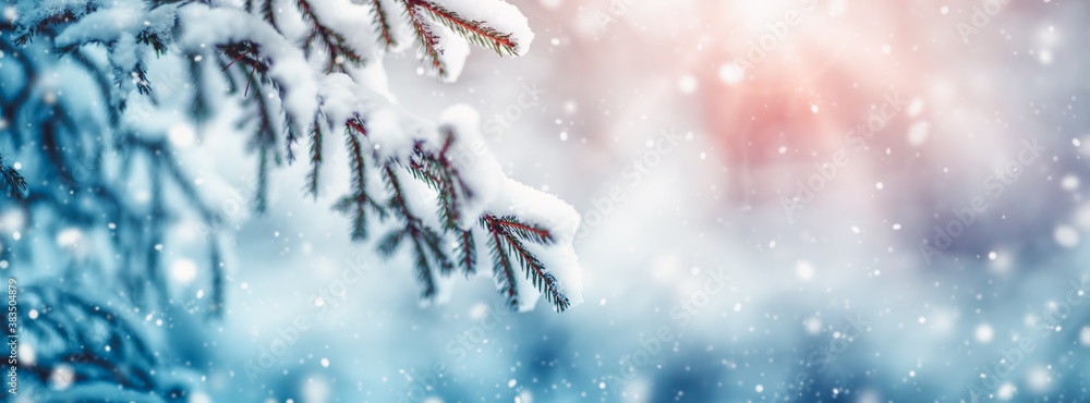 Fir-tree covered with snow in the winter fairy forest in snowfall