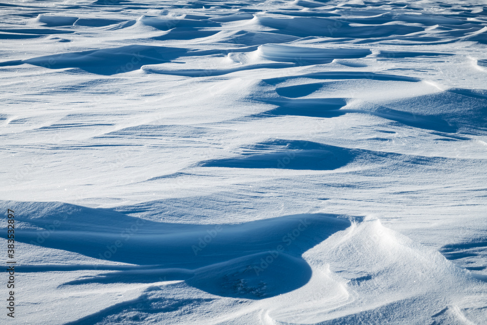 Snow texture on the field on a sunny day. Nature winter, holiday and Christmas background