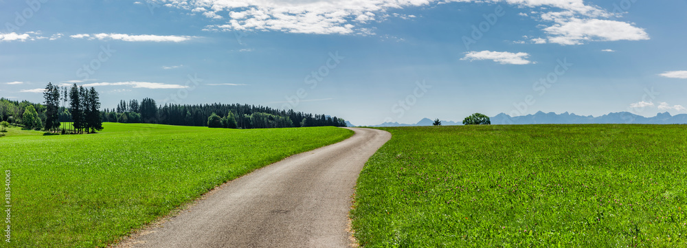 Landstrasse in grüner hügeliger Landschaft