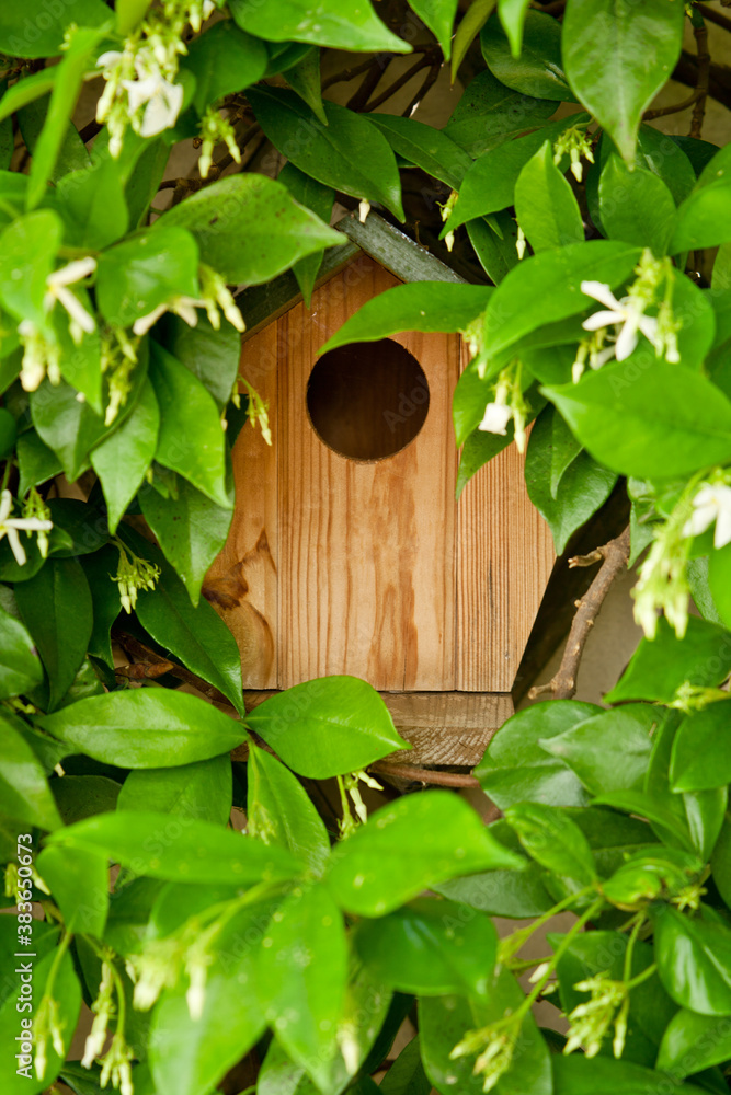 Bird House