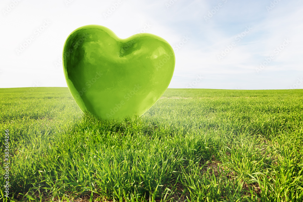 Green heart on the grassy field. Love, healthy environment, nature