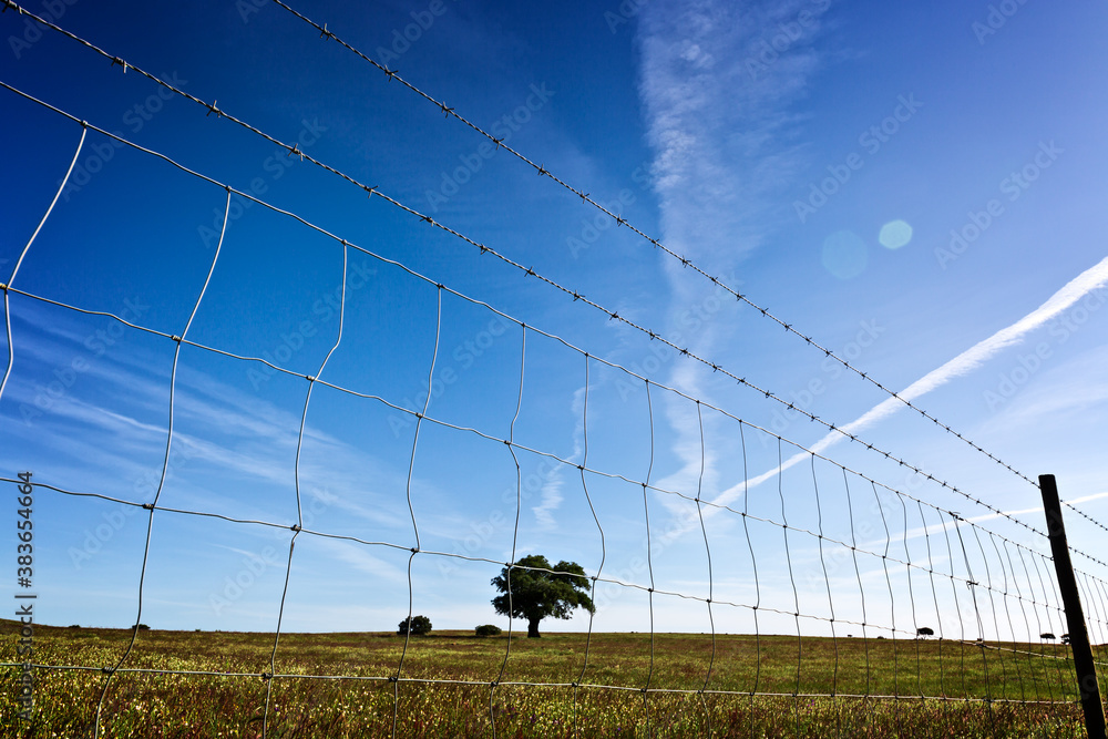 View through the barbed wire fence