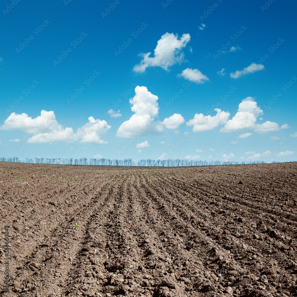 black plowed field after harvesting under blue sky