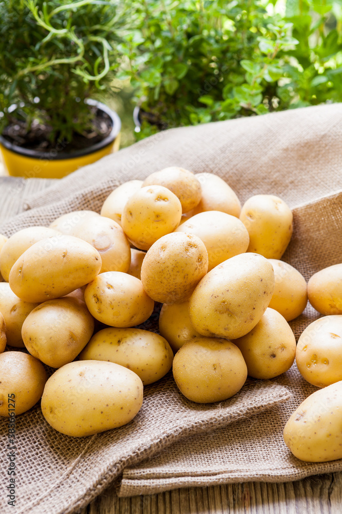 Farm fresh  potatoes on a hessian sack