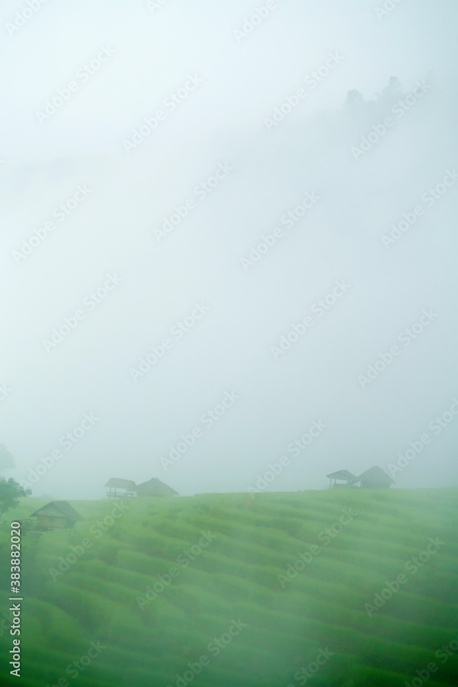 The terraced rice paddy in Bong Piang village Chiang mai Thailand