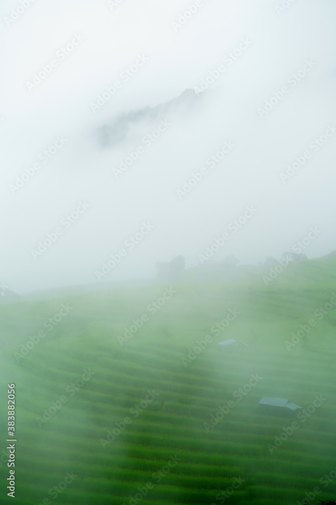 The terraced rice paddy in Bong Piang village Chiang mai Thailand