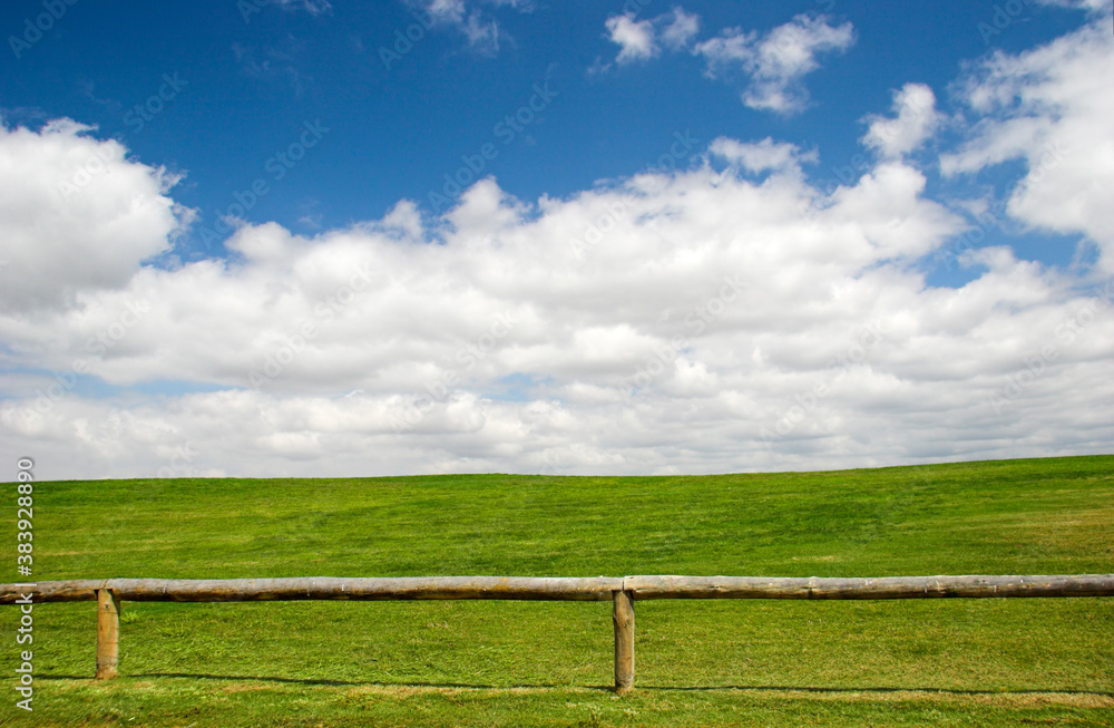 Green meadow