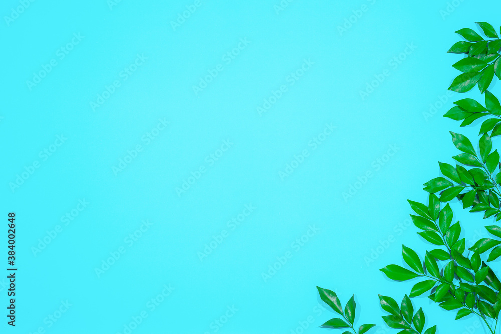 Tropical leaf frame on green background with copy space. Flat lay. Top view. Summer or spring nature